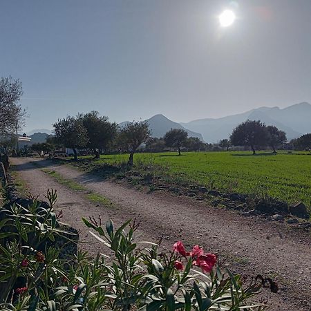 Agriturismo Sa Murta Dorgali Ngoại thất bức ảnh