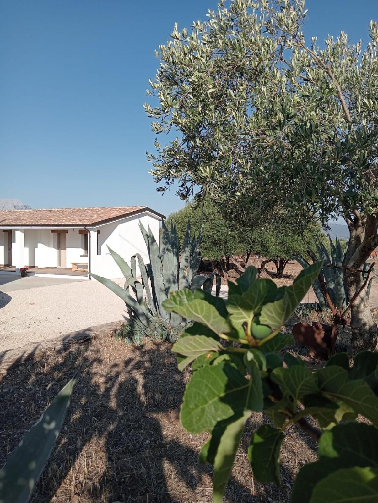 Agriturismo Sa Murta Dorgali Ngoại thất bức ảnh