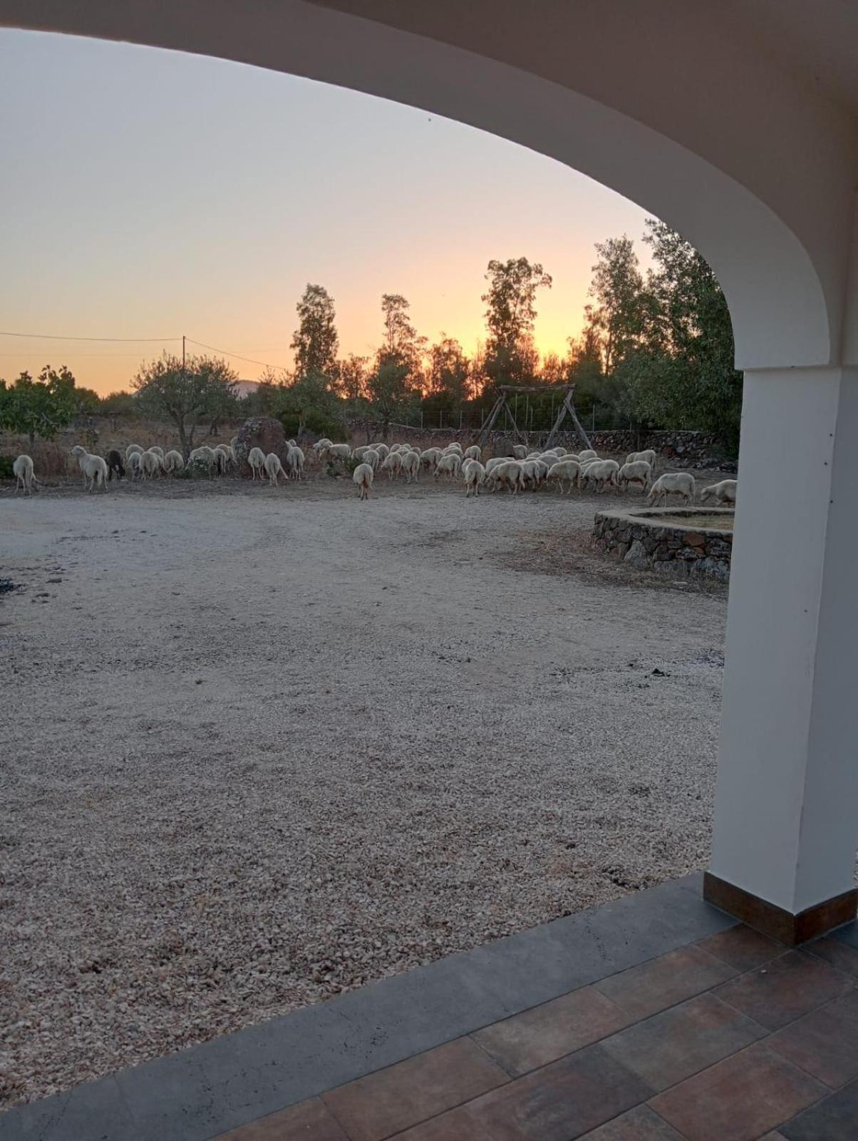 Agriturismo Sa Murta Dorgali Ngoại thất bức ảnh