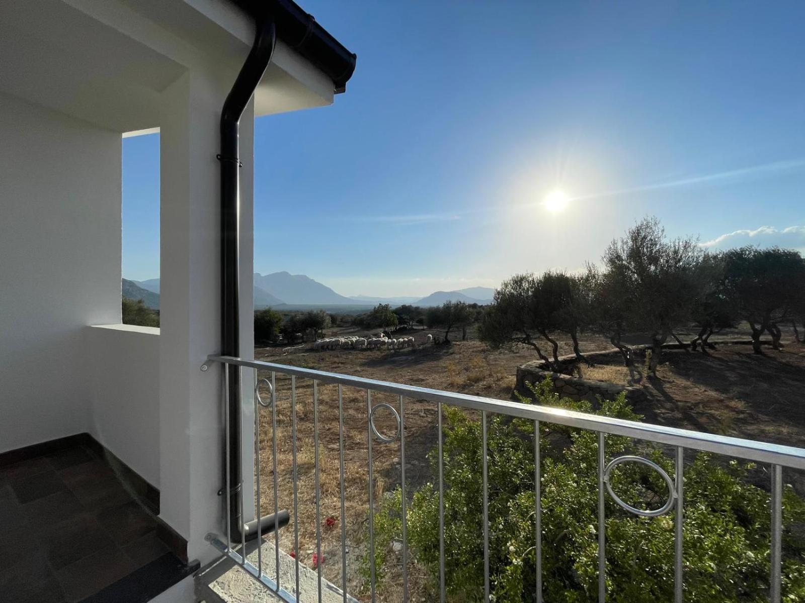 Agriturismo Sa Murta Dorgali Ngoại thất bức ảnh