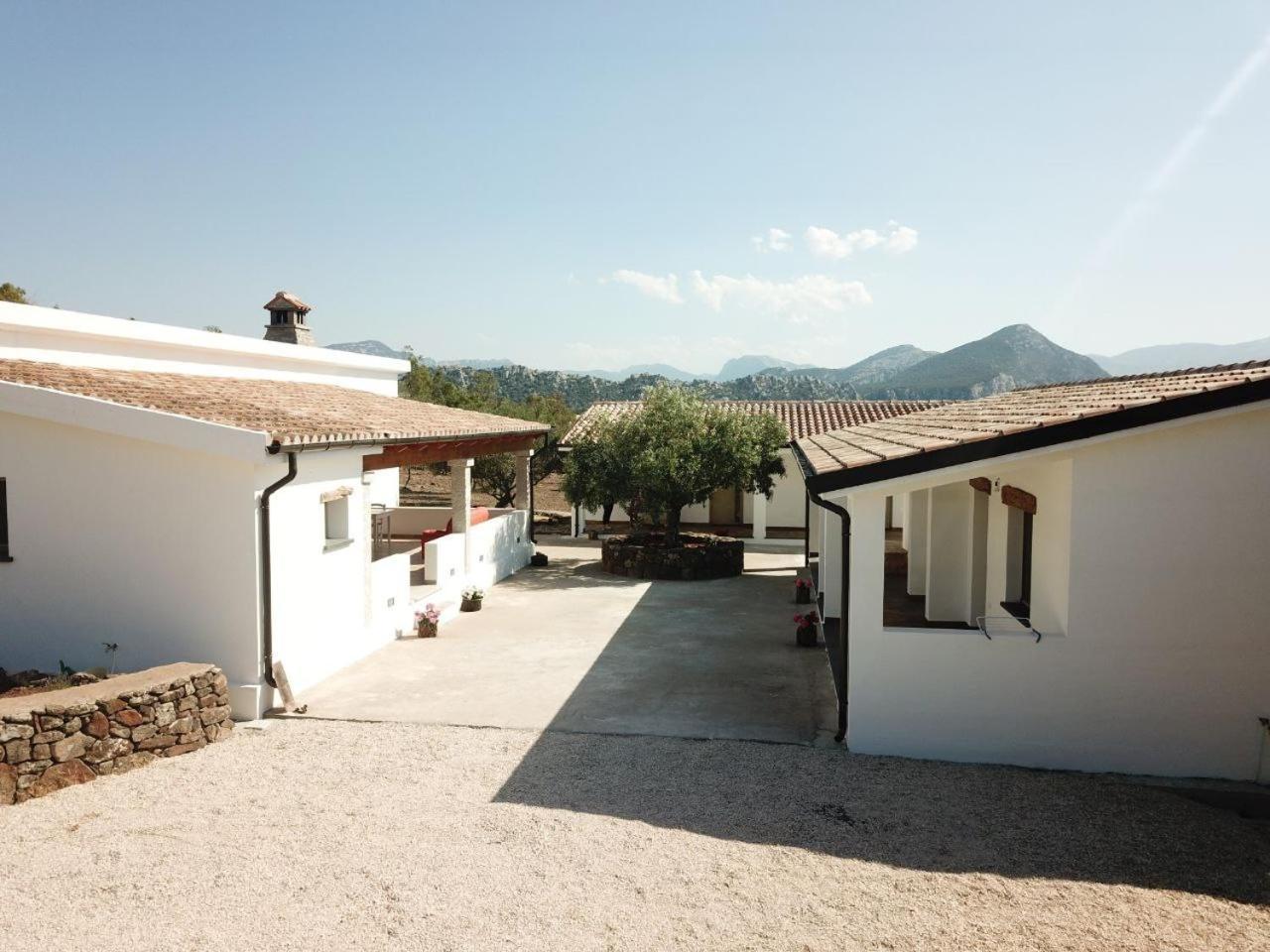 Agriturismo Sa Murta Dorgali Ngoại thất bức ảnh