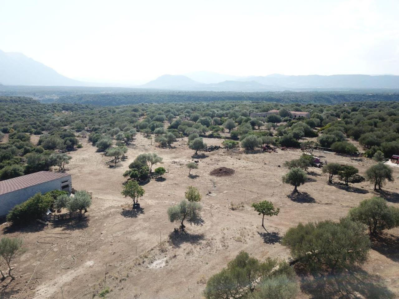 Agriturismo Sa Murta Dorgali Ngoại thất bức ảnh