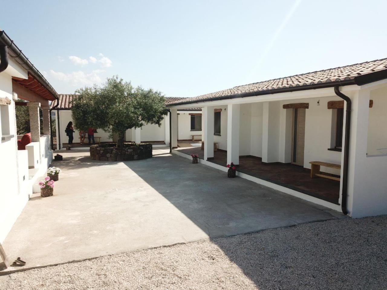 Agriturismo Sa Murta Dorgali Ngoại thất bức ảnh