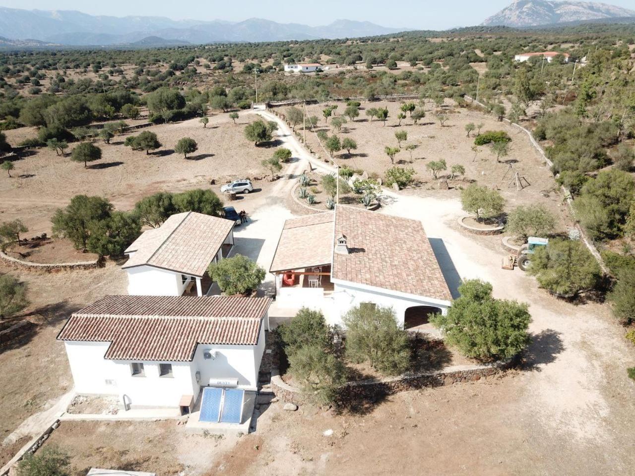 Agriturismo Sa Murta Dorgali Ngoại thất bức ảnh