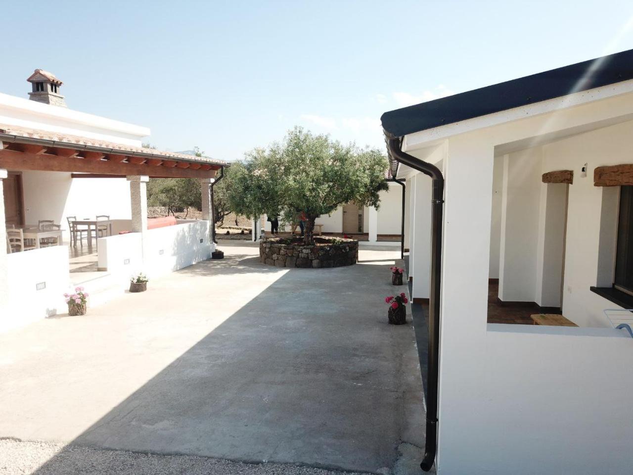 Agriturismo Sa Murta Dorgali Ngoại thất bức ảnh