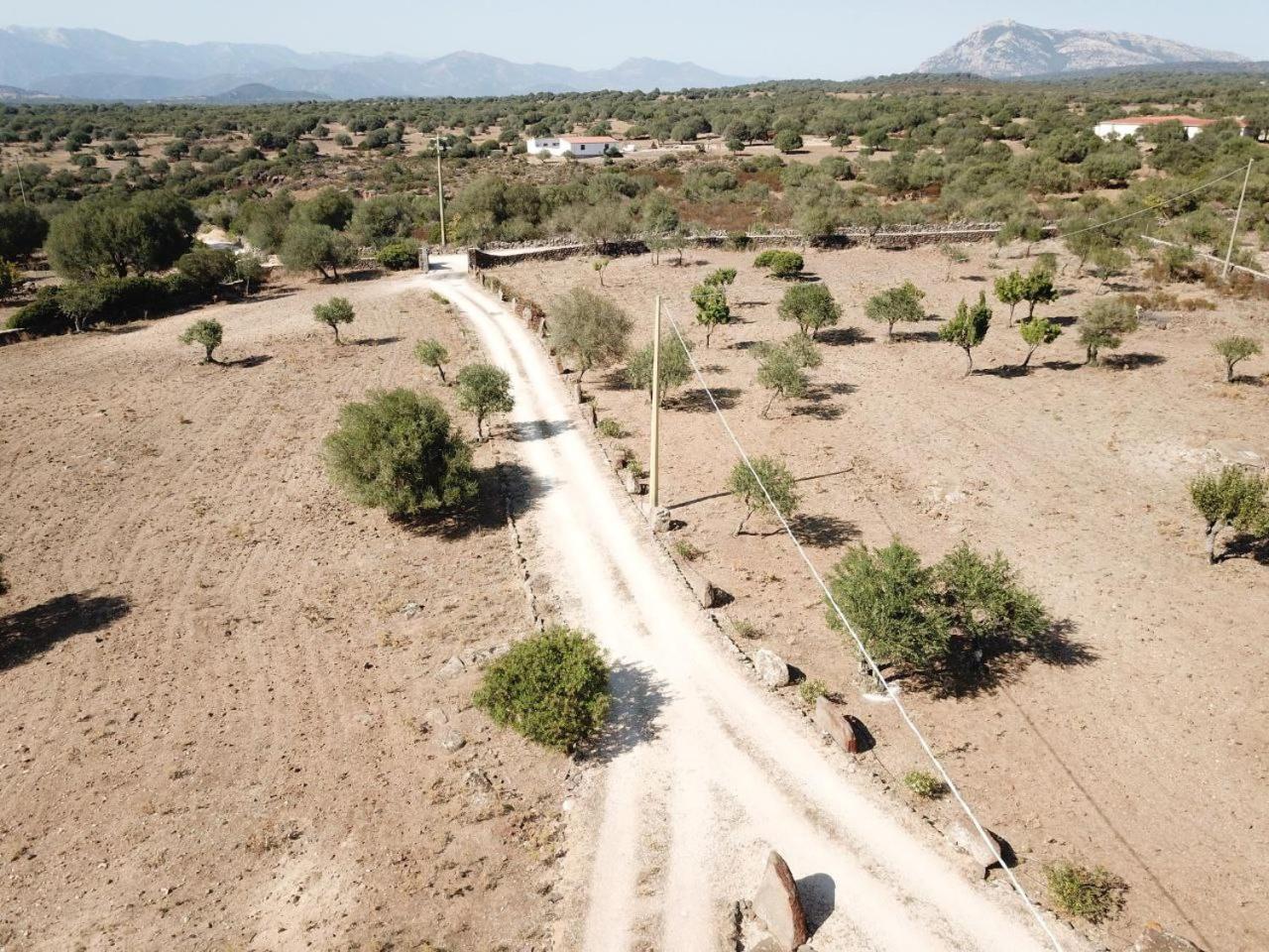 Agriturismo Sa Murta Dorgali Ngoại thất bức ảnh