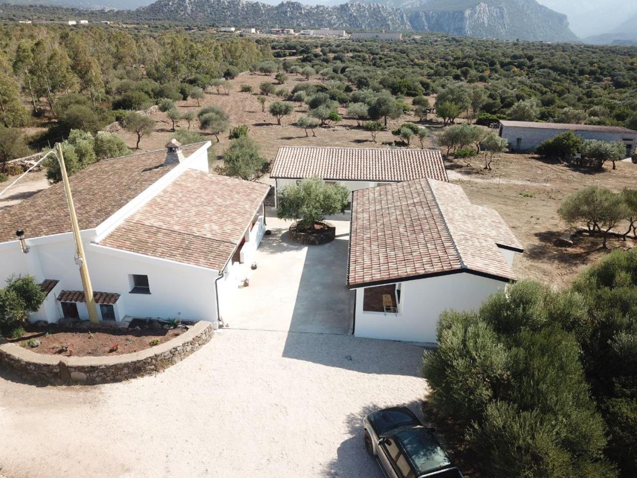 Agriturismo Sa Murta Dorgali Ngoại thất bức ảnh