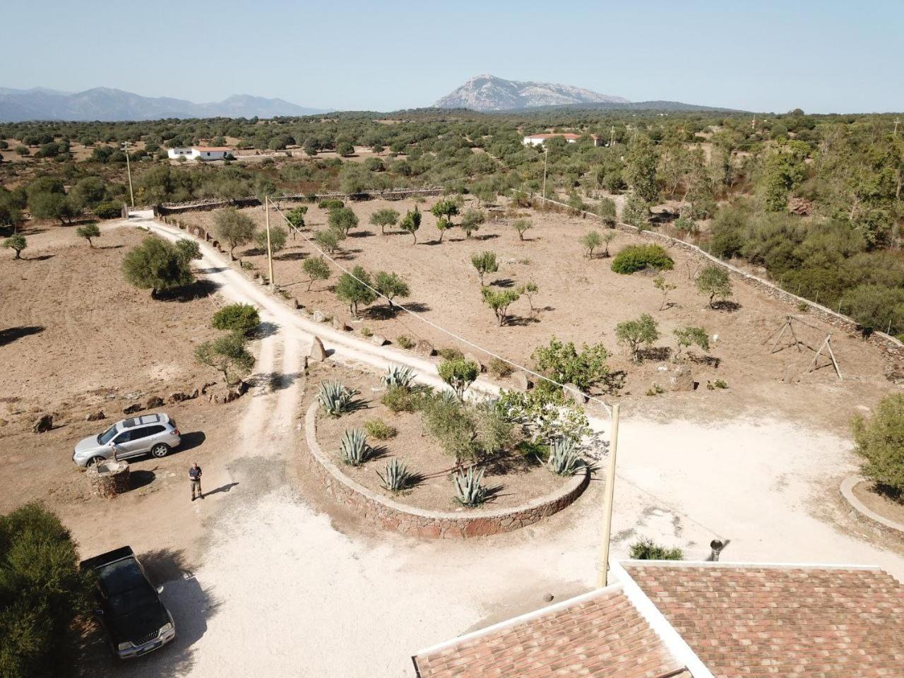 Agriturismo Sa Murta Dorgali Ngoại thất bức ảnh