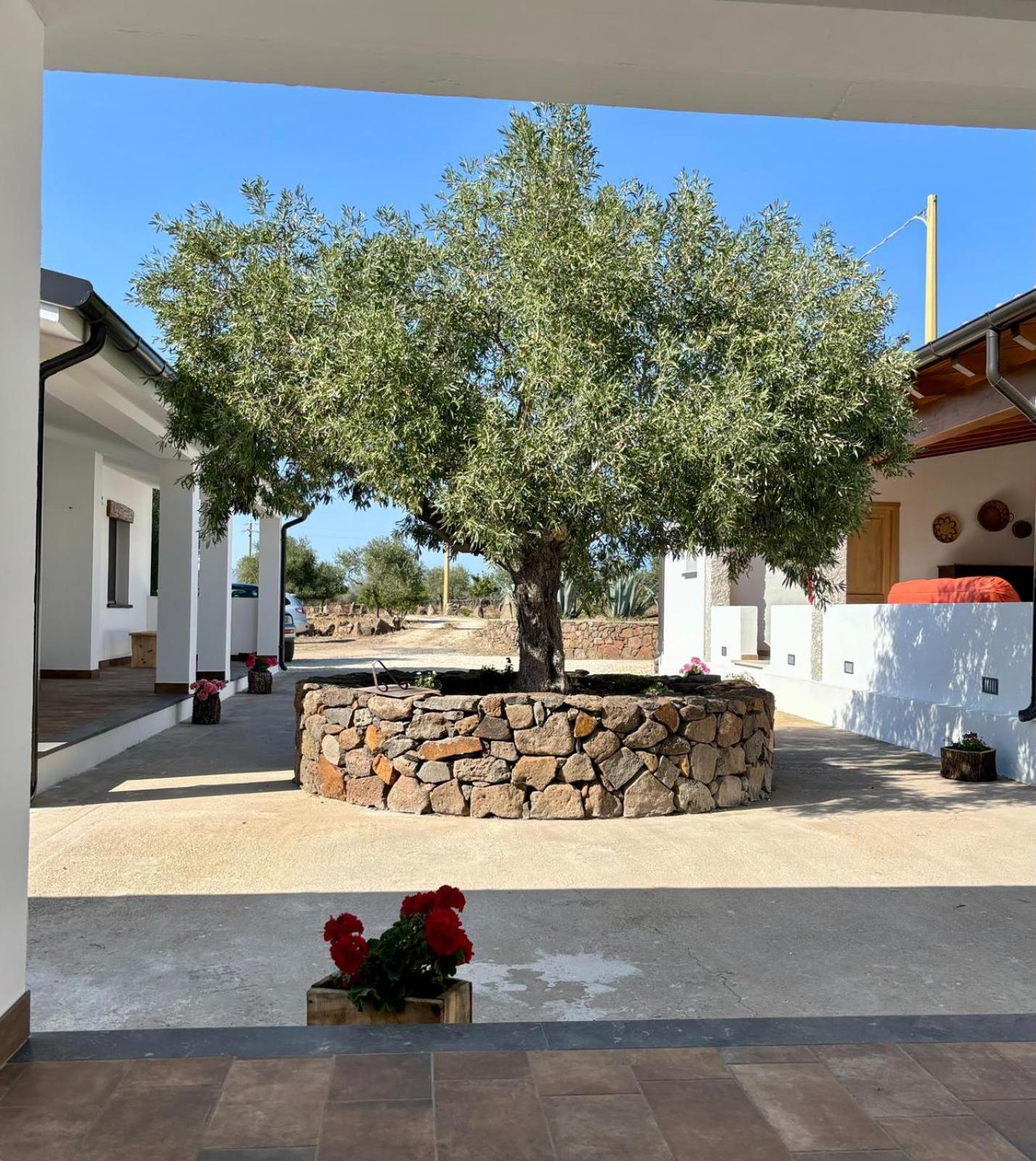 Agriturismo Sa Murta Dorgali Ngoại thất bức ảnh