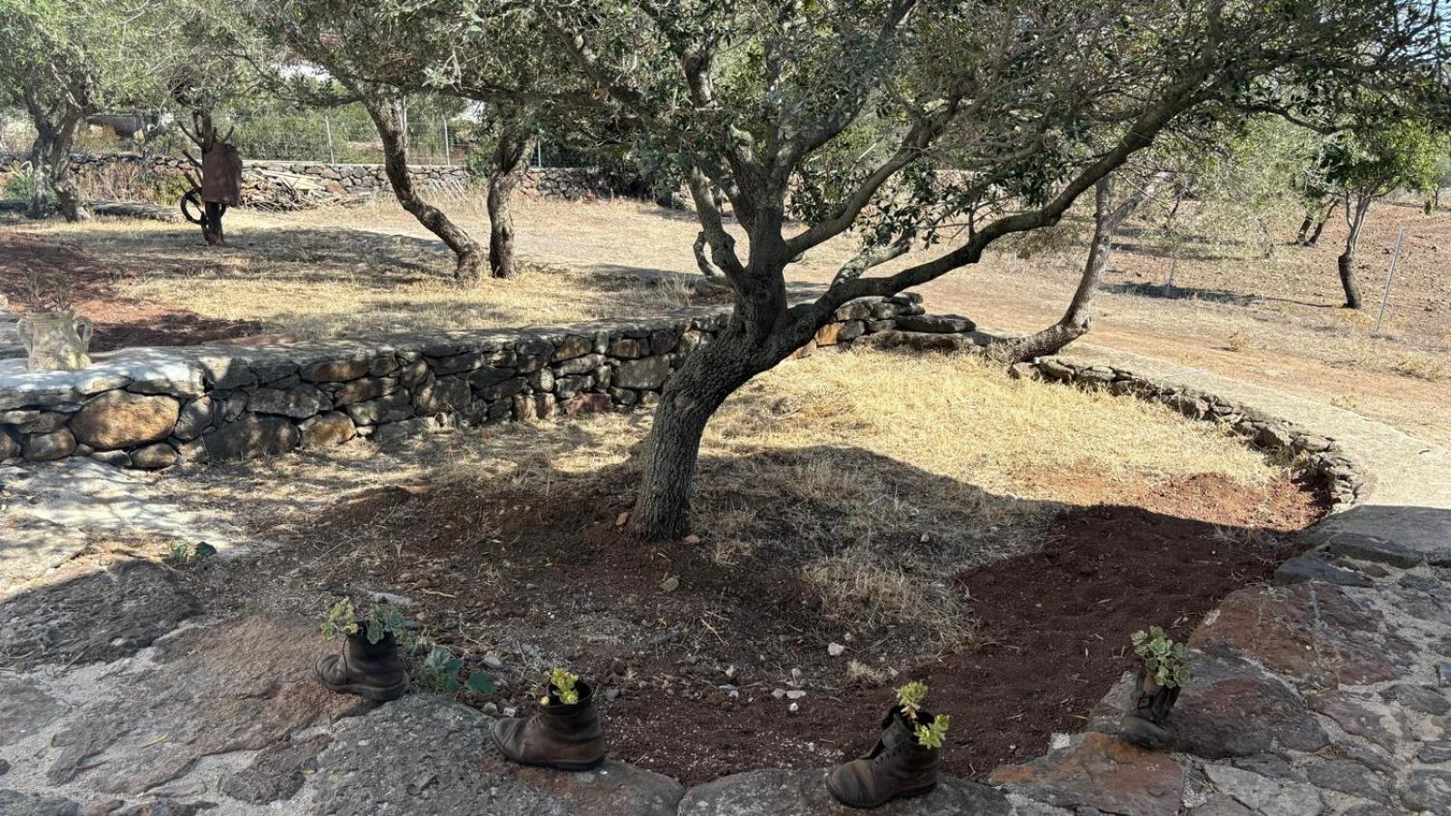 Agriturismo Sa Murta Dorgali Ngoại thất bức ảnh