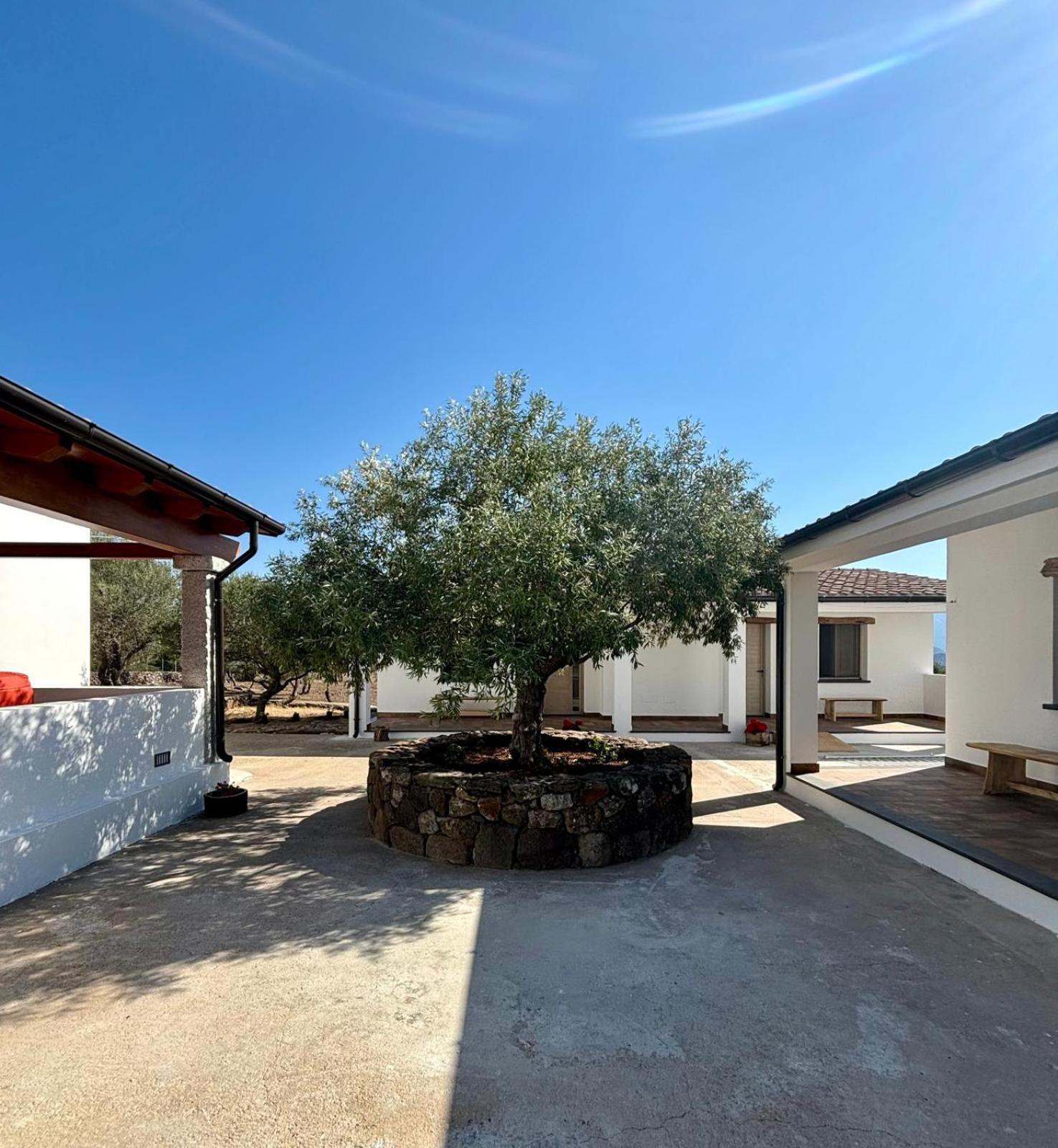 Agriturismo Sa Murta Dorgali Ngoại thất bức ảnh