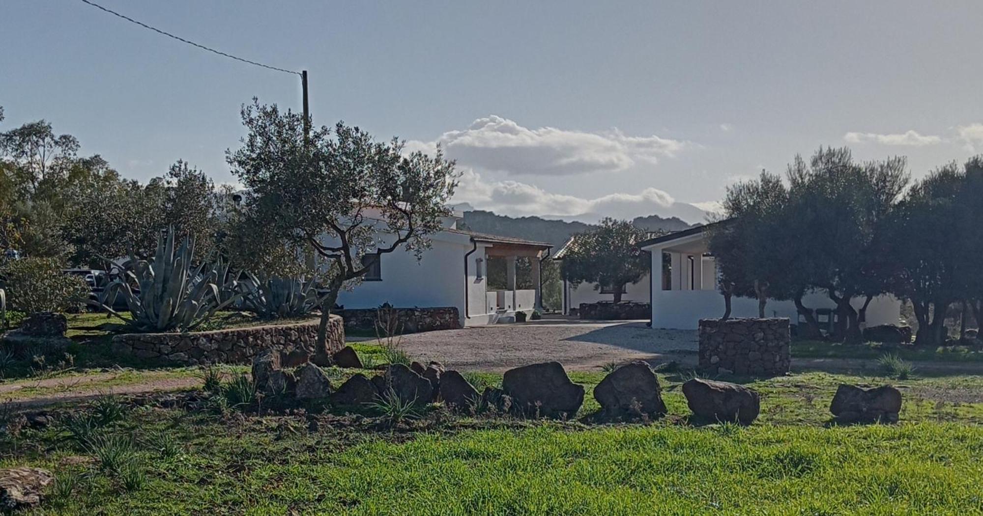 Agriturismo Sa Murta Dorgali Ngoại thất bức ảnh