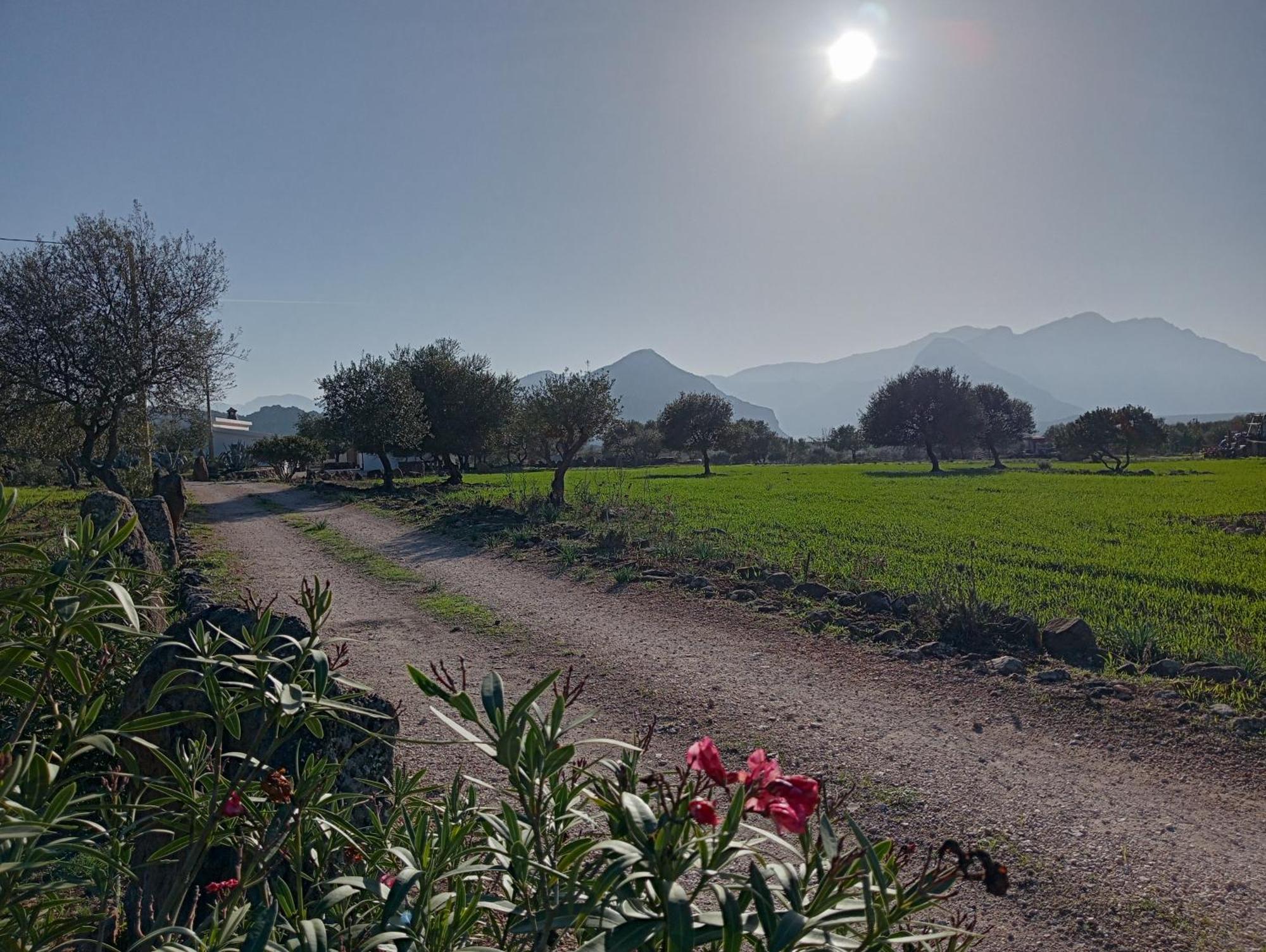 Agriturismo Sa Murta Dorgali Ngoại thất bức ảnh