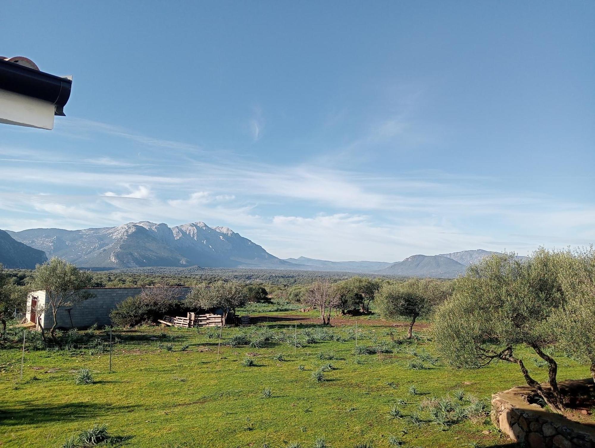 Agriturismo Sa Murta Dorgali Ngoại thất bức ảnh